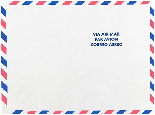 JAM PAPER Tyvek Tear-Proof Open End Catalog Envelopes - 9 x 12 - White Airmail - 25/Pack