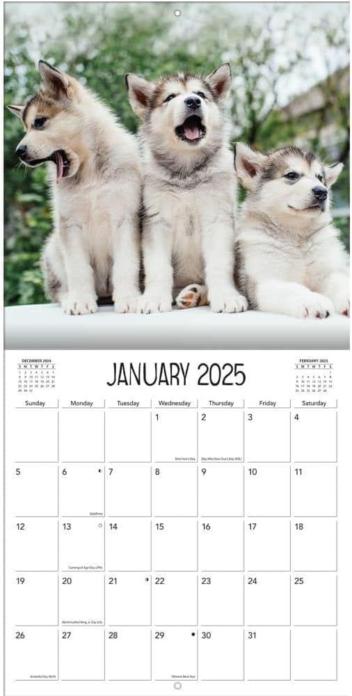 TURNER PHOTOGRAPHIC Playful Puppies 12x12 Photo Wall Calendar (25998940045)