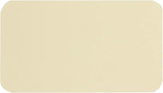 Penta Angel 100 Pcs Mini Paper Blank Gift Notes Cards DIY Craft Small Word Business Message Cards (Beige)