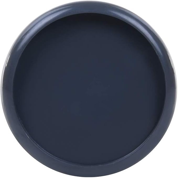 Talia Discbound Notebook - Discs (Charcoal, 1inch)