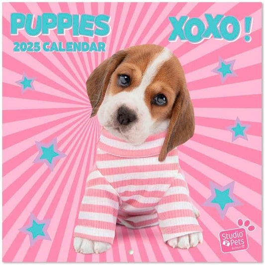 Puppies Wall Calendar 2025 12" x 12" FSC® Plastic Free - Starts Week On Sunday | Square Wall Calendar | Family Planner Calendar 2025 | Dog Calendar 2025