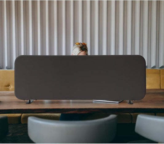 Desk Divider, Portable Desktop Privacy Panels Partition for Study, Home Office, Workplace, Students, Free Standing, Anti-Scratch, 48"x18", Iron