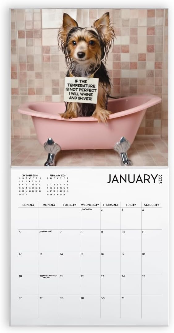 Dog Shaming Calendar 2025, Funny Wall Calendar, Dog Lover, 2025 Dog Wall Calendar