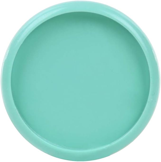 Talia Discbound Notebook - Discs (Sage Green, 1Inch)