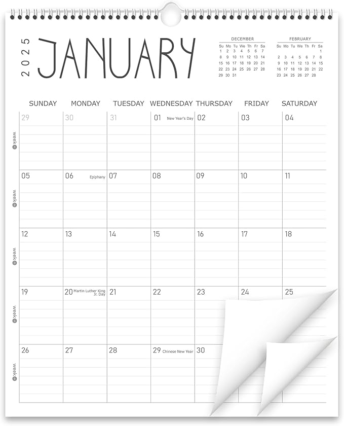 Guasslee Wall Calendar 2025, 11.5" X 14" Vertical Wall Calendar 2025, 18-Month Desk/Wall Calendar Runs From 2025 Jan - 2026 Jun, Monthly Hanging Planner Spiral Bound For School Home Office Organizing