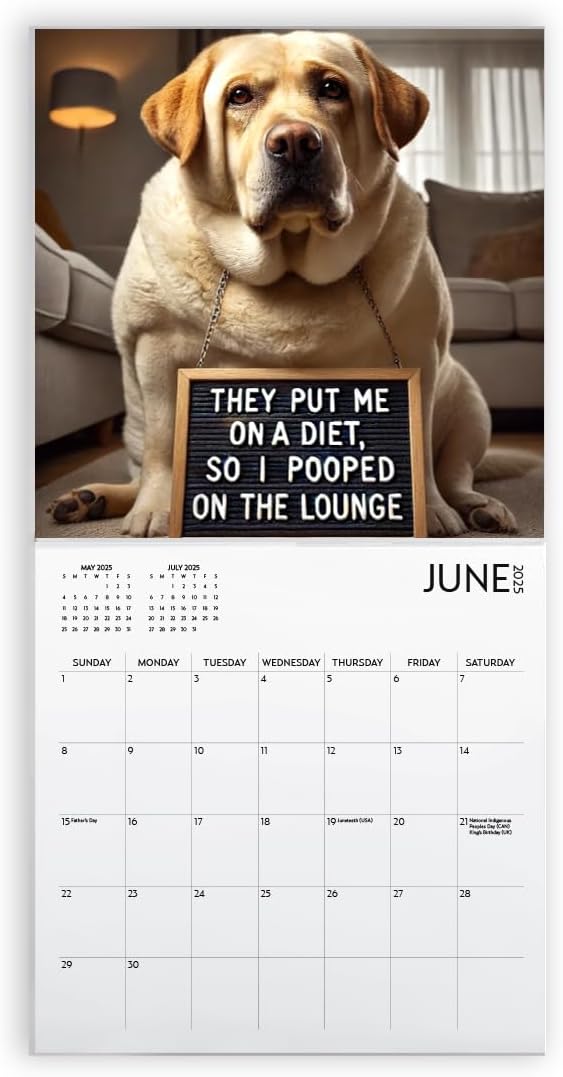 Dog Shaming Calendar 2025, Funny Wall Calendar, Dog Lover, 2025 Dog Wall Calendar