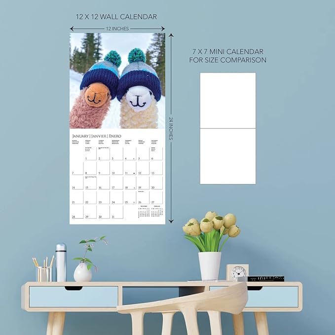 Graphique 2024 Llama with no Drama Wall Calendar | 12” x 12” | Thick Paper | Home & Office Organizer | Large Monthly Grid | 3 Languages & Marked Holidays | 4 Month Preview Page for 2025