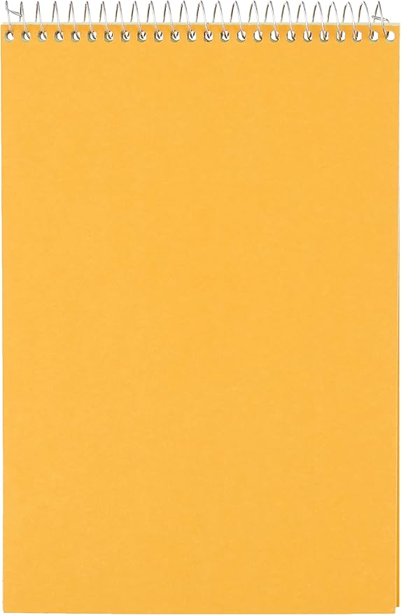 National Brand Steno Notebook with Brown Board Cover, Green Eye-Ease Paper, Gregg Ruled, 6" x 9", 12 Notebooks with 60 Sheets Each (36646-12)