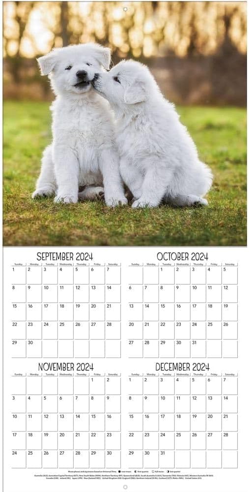 TURNER PHOTOGRAPHIC Playful Puppies 12x12 Photo Wall Calendar (25998940045)