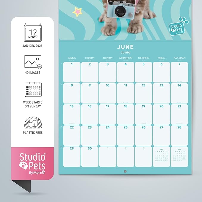 Kittens Wall Calendar 2025 12" x 12" FSC® Plastic Free - Starts Week On Sunday | Square Wall Calendar | Family Planner Calendar 2025 | Cat Calendar 2025