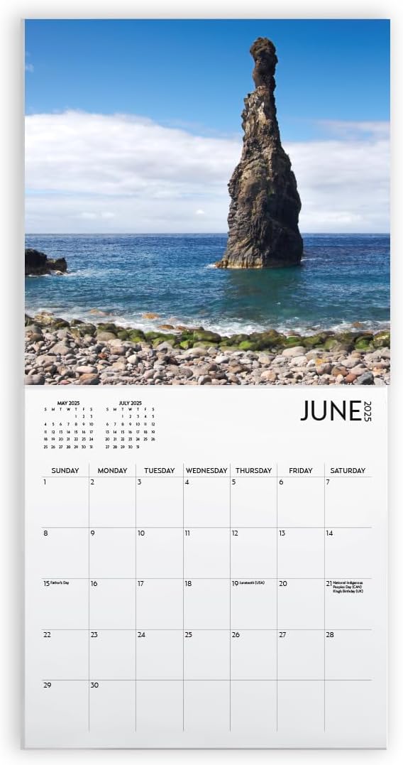 Wall Calendar 2025, 12 x 12 inch, Funny Gift, White Elephant, Gag Gift, Secret Santa… (Nature's Dicks)