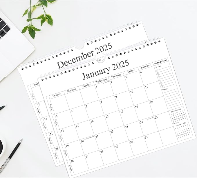 Calendar 2025 - Wall Calendar 2025-2026 from January 2025 - June 2026, 18 Months Calendar with Premium Paper, Twin-Wire Binding & Hanging Hook, 12" x 14.5", Black