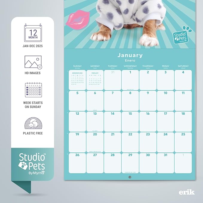 Puppies Wall Calendar 2025 12" x 12" FSC® Plastic Free - Starts Week On Sunday | Square Wall Calendar | Family Planner Calendar 2025 | Dog Calendar 2025