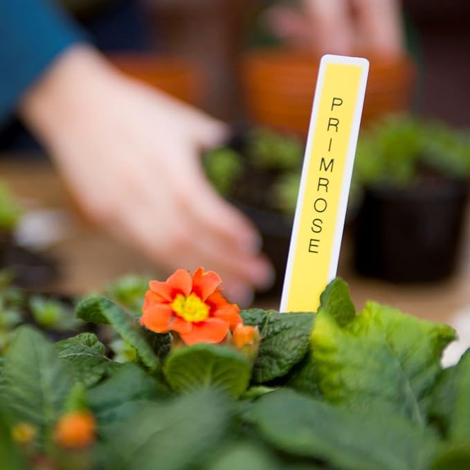 Brother P-Touch, PTH110BP, Easy Portable Label Maker Bundle (4 Label Tapes Included), White, Small