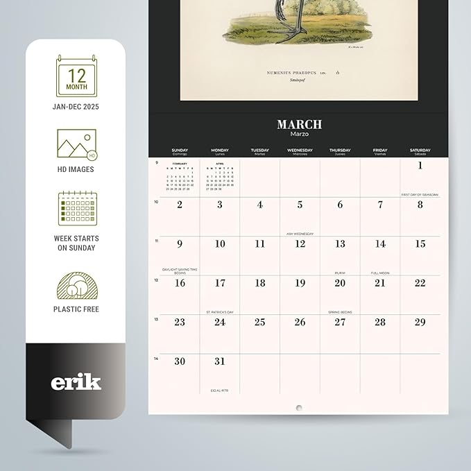 Birds Wall Calendar 2025 12" x 12" FSC® Plastic Free - Starts Week On Sunday | Square Wall Calendar | Family Planner Calendar 2025 | Vintage Calendar 2025