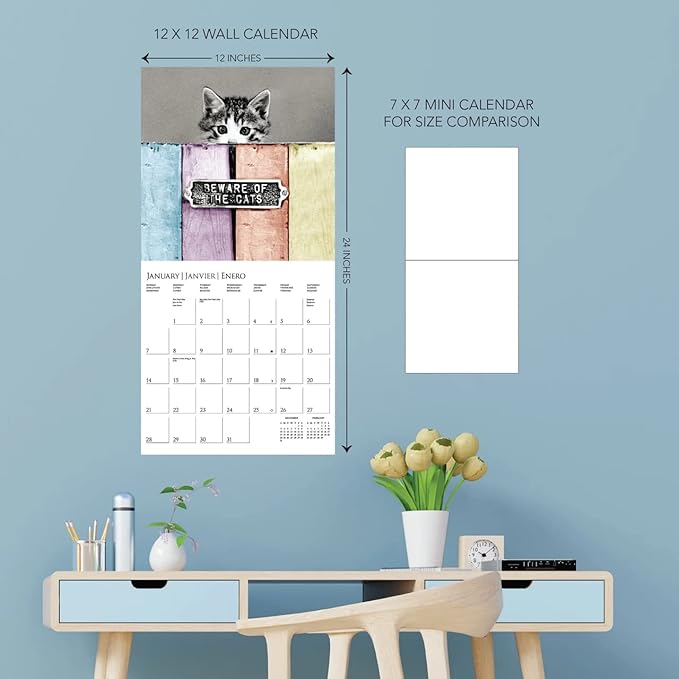 Graphique 2024 Classic Cats Wall Calendar | 12” x 12” | Thick Paper | Home & Office Organizer | Large Monthly Grid | 3 Languages & Marked Holidays | 4 Month Preview Page for 2025