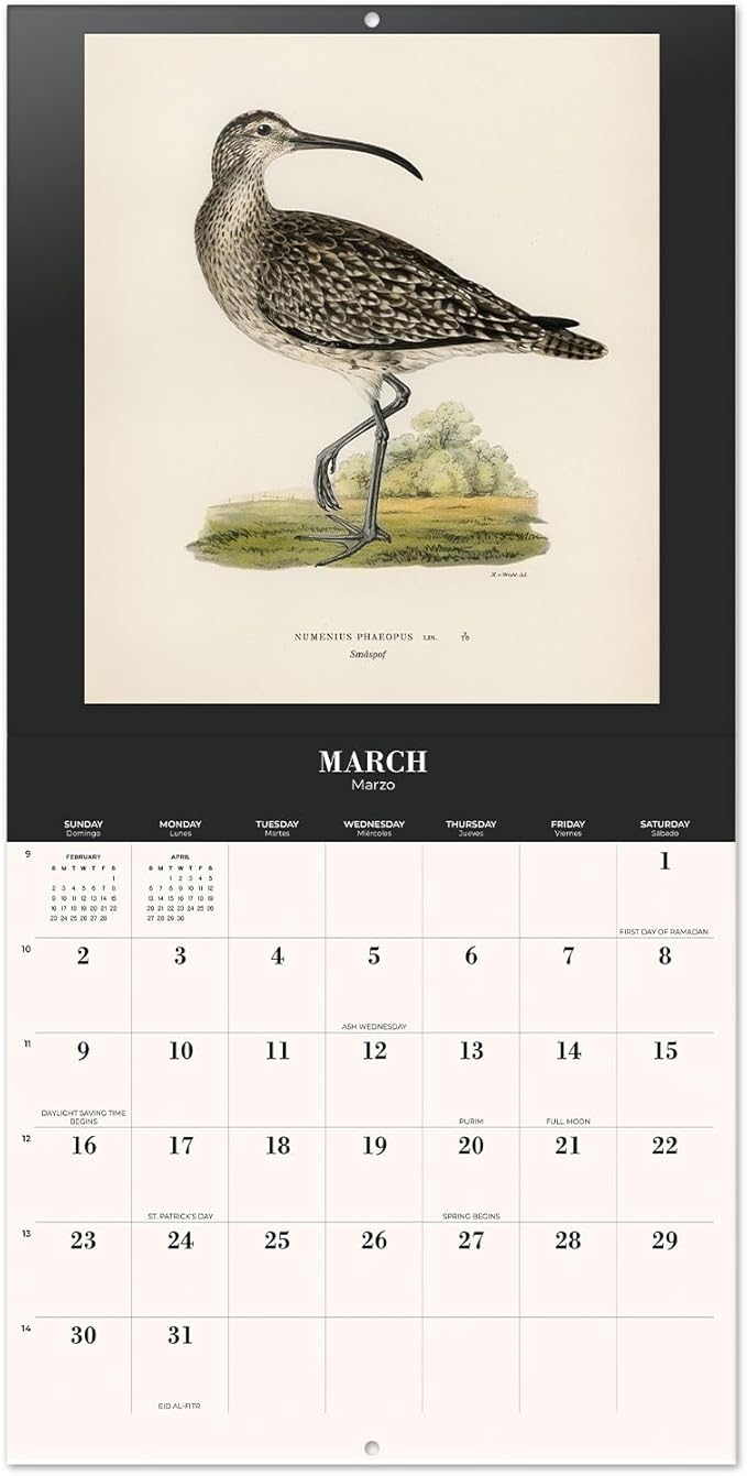 Birds Wall Calendar 2025 12" x 12" FSC® Plastic Free - Starts Week On Sunday | Square Wall Calendar | Family Planner Calendar 2025 | Vintage Calendar 2025