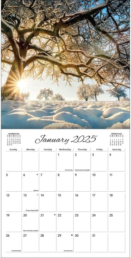 TURNER PHOTOGRAPHIC Seasons 12x12 Photo Wall Calendar (25998940050)