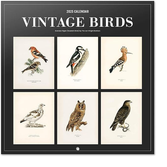 Birds Wall Calendar 2025 12" x 12" FSC® Plastic Free - Starts Week On Sunday | Square Wall Calendar | Family Planner Calendar 2025 | Vintage Calendar 2025