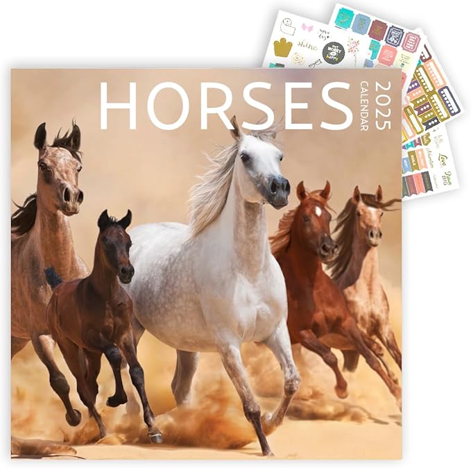 Horses Calendar 2025 with Sticker Pack, Large 12 x 12 inch, Horse Wall Calendar with Sticker Set, Gift for Horse Lovers, Cute Calendar for girls
