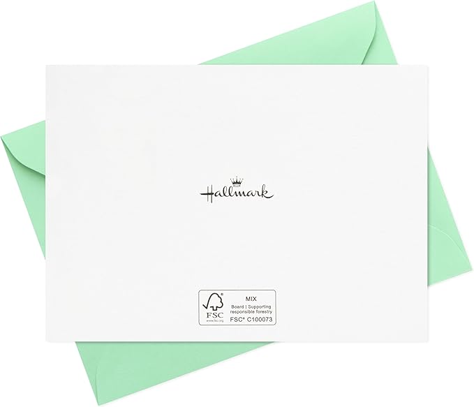 Hallmark Minimalist Thank You Note Card Assortment (48 Blank Cards with Envelopes) Mint Chevron, Blush Polka Dot, Stripes