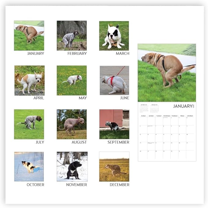 Dog Pooping Calendar 2025, 12 x 12 inch, Funny Gift, White Elephant, Gag Gift, Secret Santa