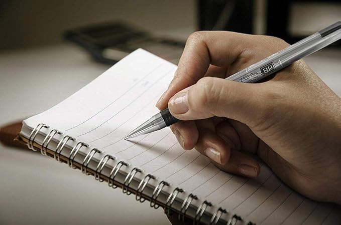 Zebra Pen F-301 Retractable Ballpoint Pen, Stainless Steel Barrel, Bold Point, 1.6mm, Black Ink, 1-Pack