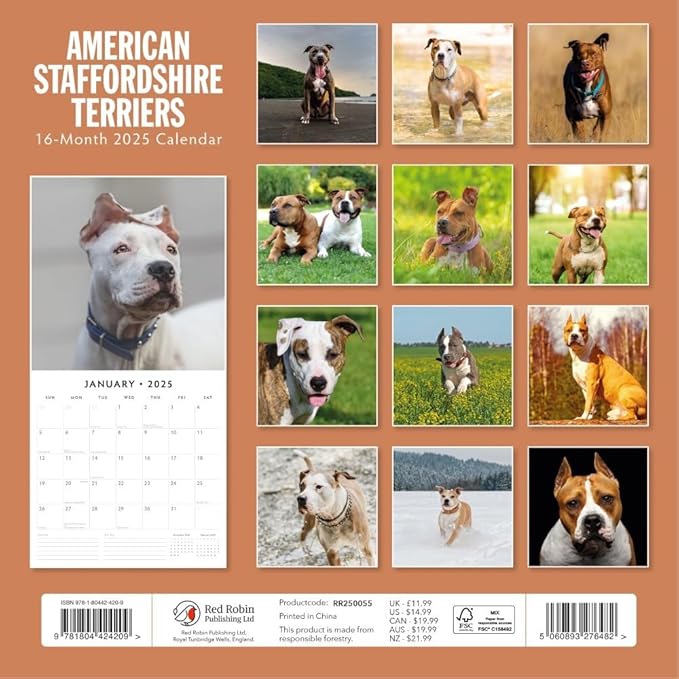 Red Robin 2025 American Staffordshire Terriers Monthly Wall Calendar | 12" x 24" Open | Premium Thick & Sturdy Paper | Hangable 12 Month Calendar | Plastic Free | 4 Month Transition Page for 2024