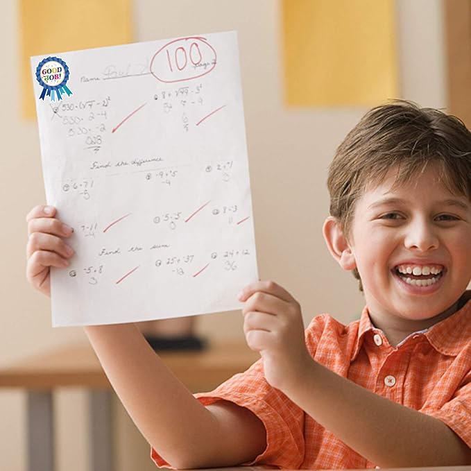 Reward Stickers Badge Designs,2.4×1.8 Inch Reward Labels Use on Classroom,Outdoor Sports Game,Party,Home,Encourage Stickers（264pcs,1bag）