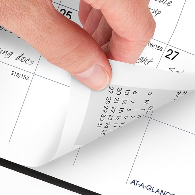 AT-A-GLANCE Planner 2024-2025 Academic, Monthly Pocket Planner, 3-1/2" x 6", Flexible Cover, DayMinder, Black (AY5300)