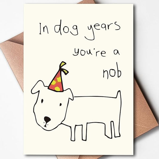 Funny Birthday Cards for Men, Women, Brother, Sister, Dad, Mom, Husband, Friend, and Anyone | Humorous Gifts | Unique Birthday Decoration