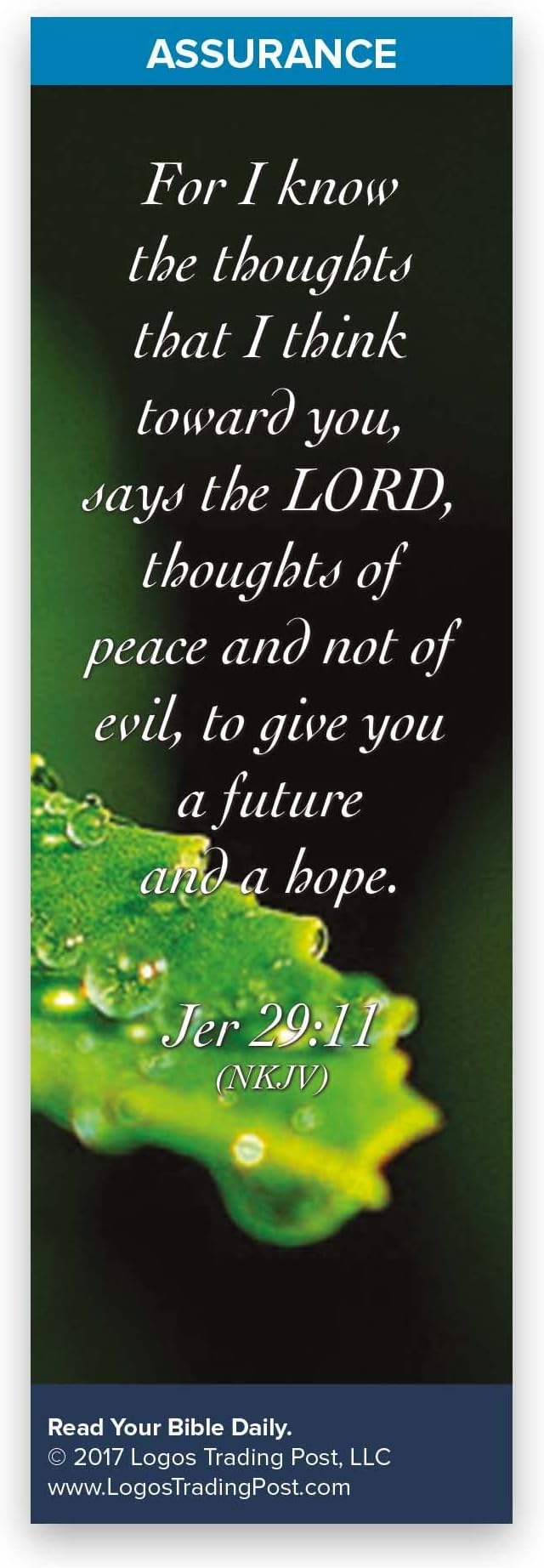 Christian Bookmark with Bible Verse, Pack of 25, Assurance Themed, For I Know the Thoughts That I Think Toward You Says the Lord, Jeremiah 29:11