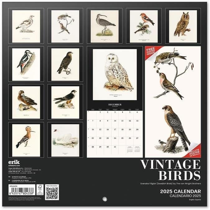 Birds Wall Calendar 2025 12" x 12" FSC® Plastic Free - Starts Week On Sunday | Square Wall Calendar | Family Planner Calendar 2025 | Vintage Calendar 2025