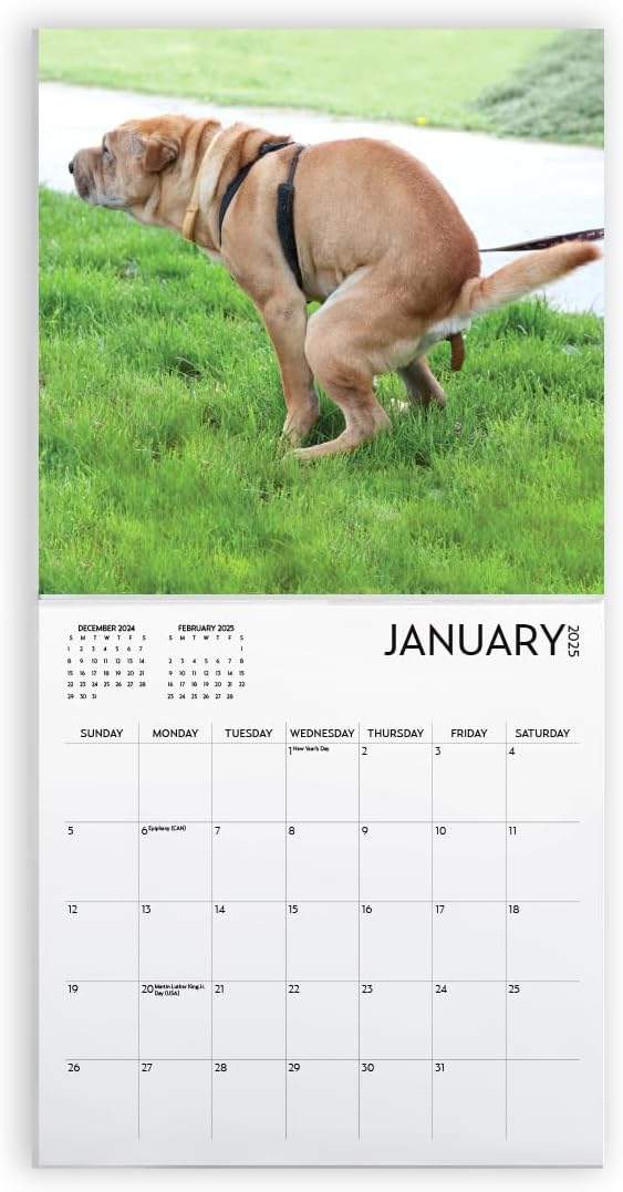 Dog Pooping Calendar 2025, 12 x 12 inch, Funny Gift, White Elephant, Gag Gift, Secret Santa