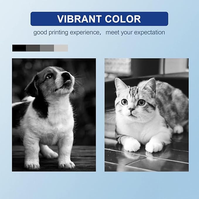 CSSTAR 62 XL Ink Cartridges Compatible Replacement Work with Envy 5660 5540 5640 7644 OfficeJet 8040 200 250 5741 5740 Printer(1 Black,1 Tri-Color)