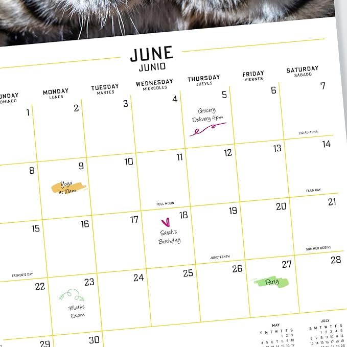 Wildlife Wall Calendar 2025 12" x 12" FSC® Plastic Free - Starts Week On Sunday | Square Wall Calendar | Family Planner Calendar 2025 | Animal Calendar 2025