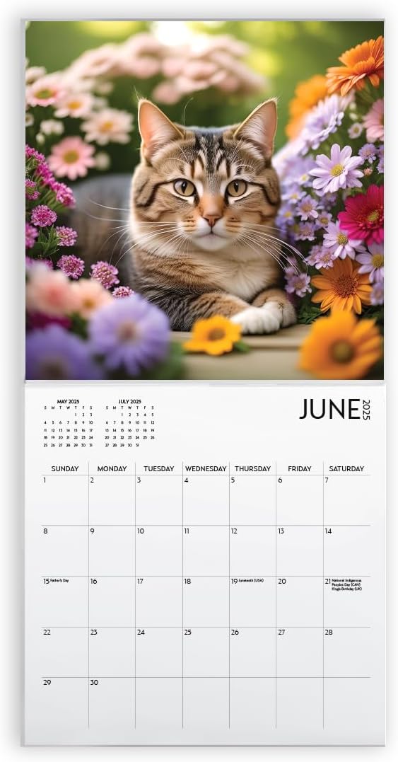 Cats and Flowers Large Wall Calendar with Sticker Pack | 12 x 12 Inches | Awesome Sticker Pack | 2025 Wall Calendar | Christmas Gift (Cats and Flowers)