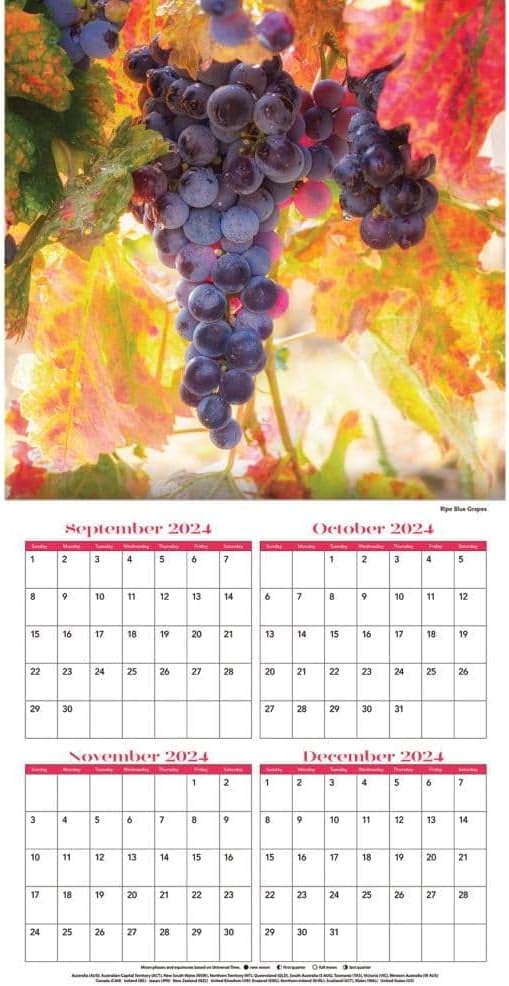 TURNER PHOTOGRAPHIC Vineyards 12x12 Photo Wall Calendar (25998940057)