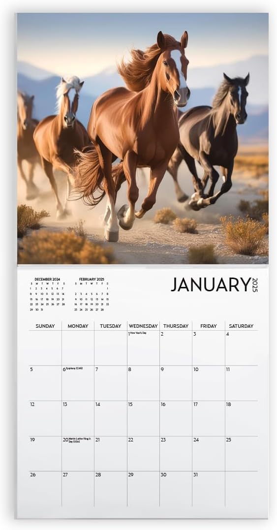 Horses Calendar 2025 with Sticker Pack, Large 12 x 12 inch, Horse Wall Calendar with Sticker Set, Gift for Horse Lovers, Cute Calendar for girls