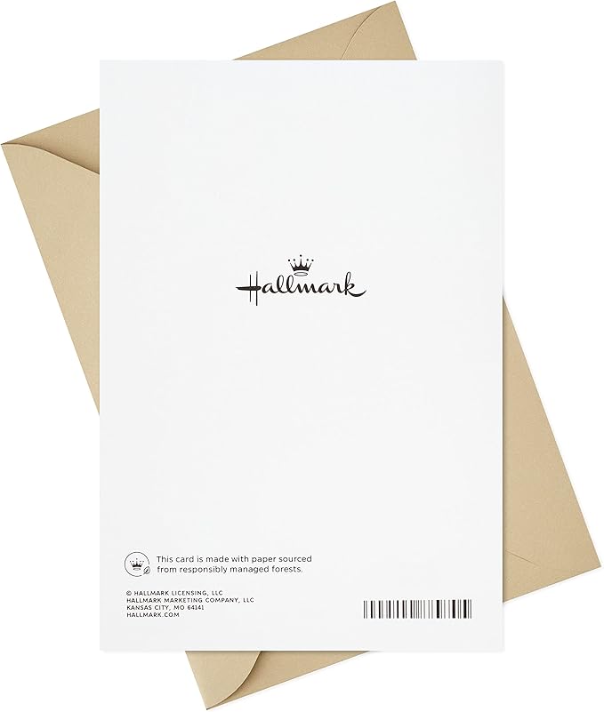 Hallmark Birthday Card for Men (Good Guy)