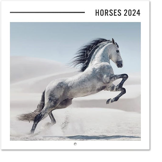 Wall Calendar 2024 12" x 12" FSC® Plastic Free - Starts Week On Sunday | Square Wall Calendar 2024 | Family Planner Calendar 2024 | 2024 Calendar (Horses 2024)