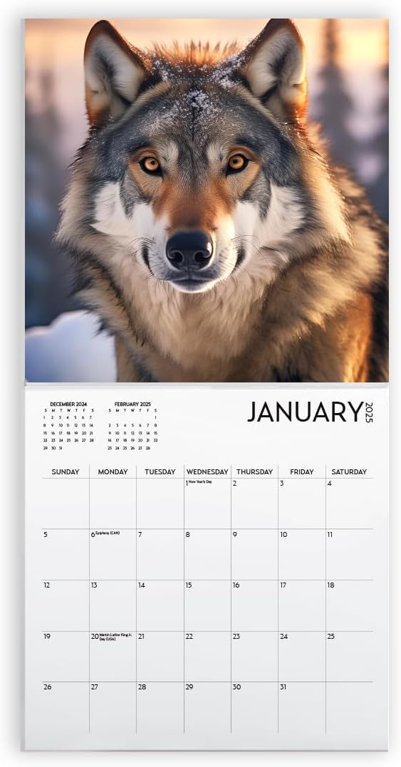 Wolf Calendar 2025 and Sticker Pack, Large 12 x 12 inch, Wolf Wall Calendar with Sticker Set, Gift for Wolf Lovers, Cute Calendar for girls or boys