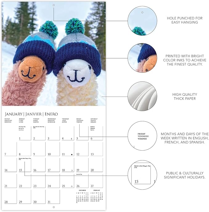 Graphique 2024 Llama with no Drama Wall Calendar | 12” x 12” | Thick Paper | Home & Office Organizer | Large Monthly Grid | 3 Languages & Marked Holidays | 4 Month Preview Page for 2025
