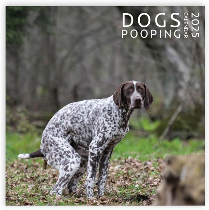 Dog Pooping Calendar 2025, 12 x 12 inch, Funny Gift, White Elephant, Gag Gift, Secret Santa