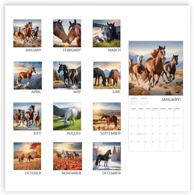 Horses Calendar 2025 with Sticker Pack, Large 12 x 12 inch, Horse Wall Calendar with Sticker Set, Gift for Horse Lovers, Cute Calendar for girls