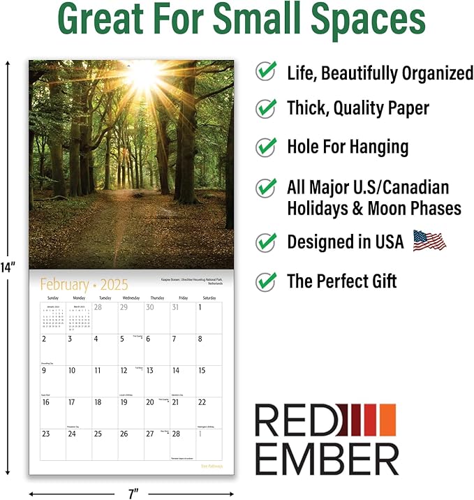 RED EMBER Tree Pathways Mini 2025 Wall Calendar 12 Month | 7" x 14" Open | Thick & Sturdy Paper | Giftable | Calendar 2025