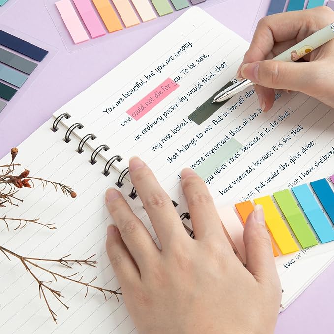 ZTML MS 4000 Pcs Morandi Sticky Tabs, 20 Sheets Book Tabs for Annotating Books, Page Flags Annotation Tabs, Page Markers, Colorful Book Annotating Tabs, Sticky Flags, Transparent Sticky Note Tabs