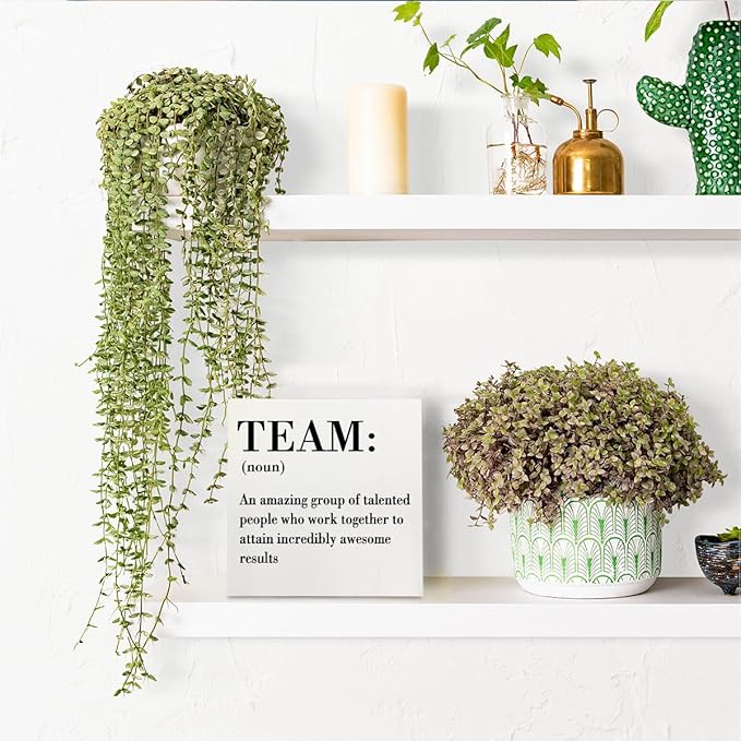 Inspirational Team Noun Office Decor Desk Decor Wooden Box Sign Rustic White Wood Block Plaque Box Sign for Home Office Desk Shelf Table Decoration Coworker Gift Team Definition Teamwork Sign