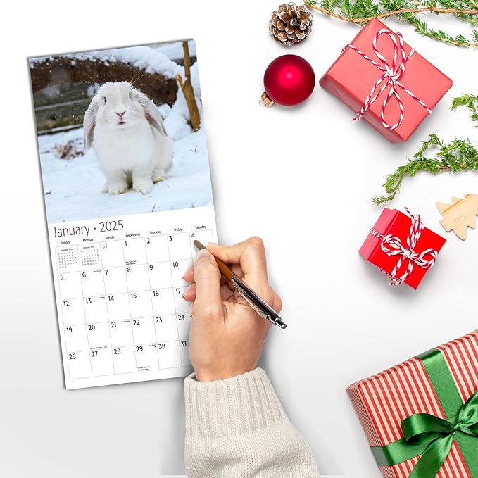 MICASA Bunnies Mini 2025 Wall Calendar 12 Month | 7" x 14" Open | Thick & Sturdy Paper | Giftable | Calendar 2025
