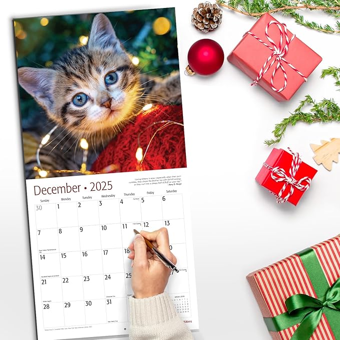 RED EMBER Kittens 2025 Wall Calendar 12 Month | 12" x 24" Open | Thick & Sturdy Paper | Giftable | Calendar 2025